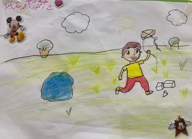 Flying A Kite In The Meadow
